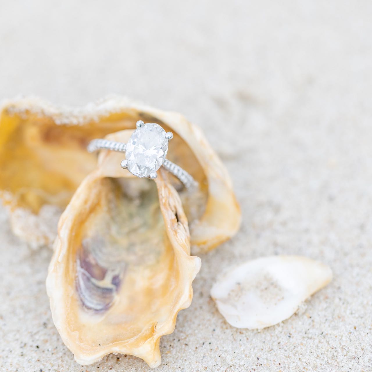 Engagement Ring styled on oyster shell